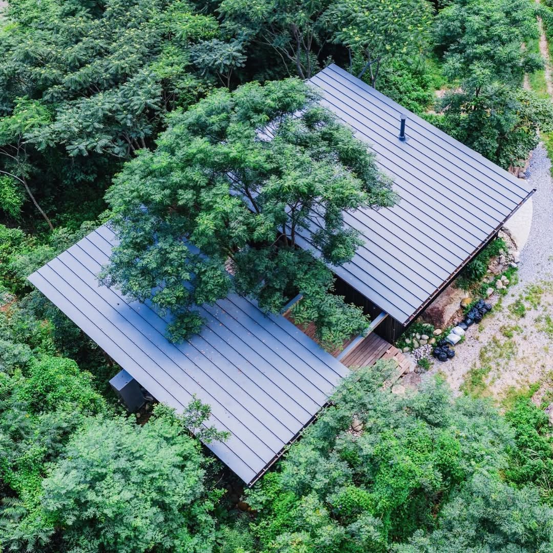 【屋久島】環境再生造園 現場見学ツアー