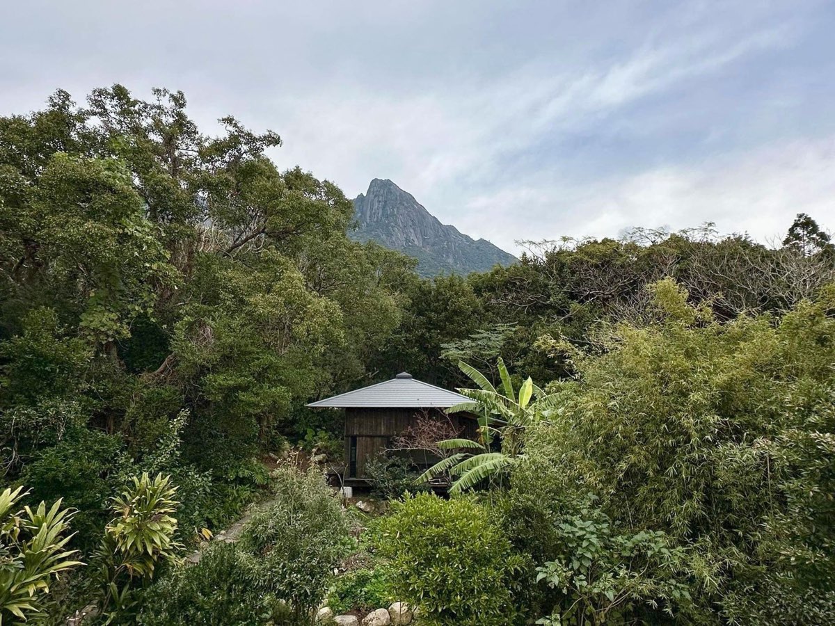 Banyan Retreat: The Nest