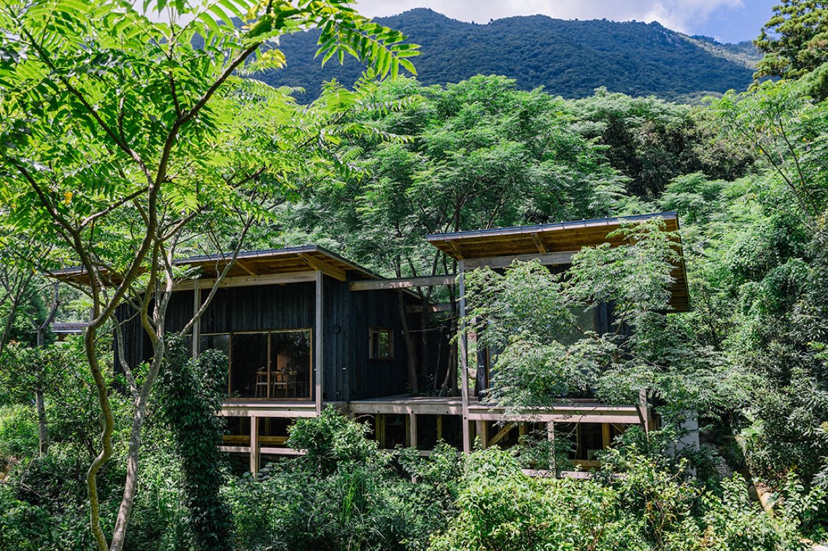 Regenerative Vegan House