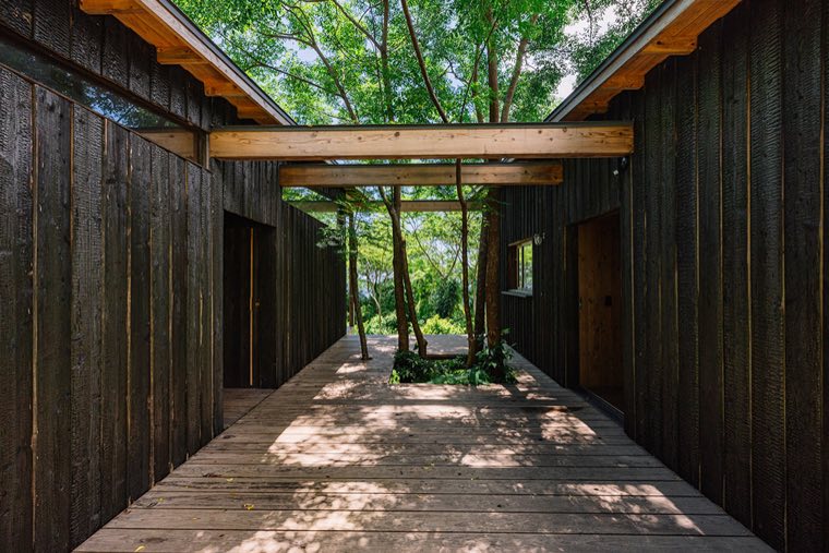 Regenerative Vegan House 3