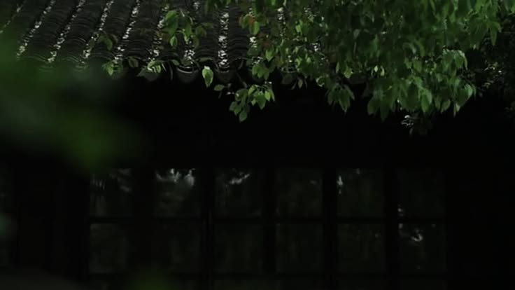 梅雨の薄暗い和風家屋の軒