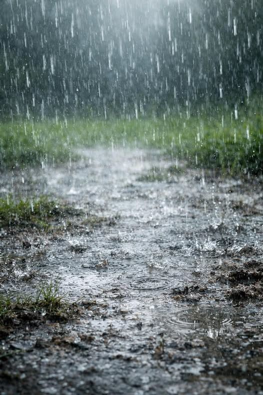 梅雨の雨が降る水たまり