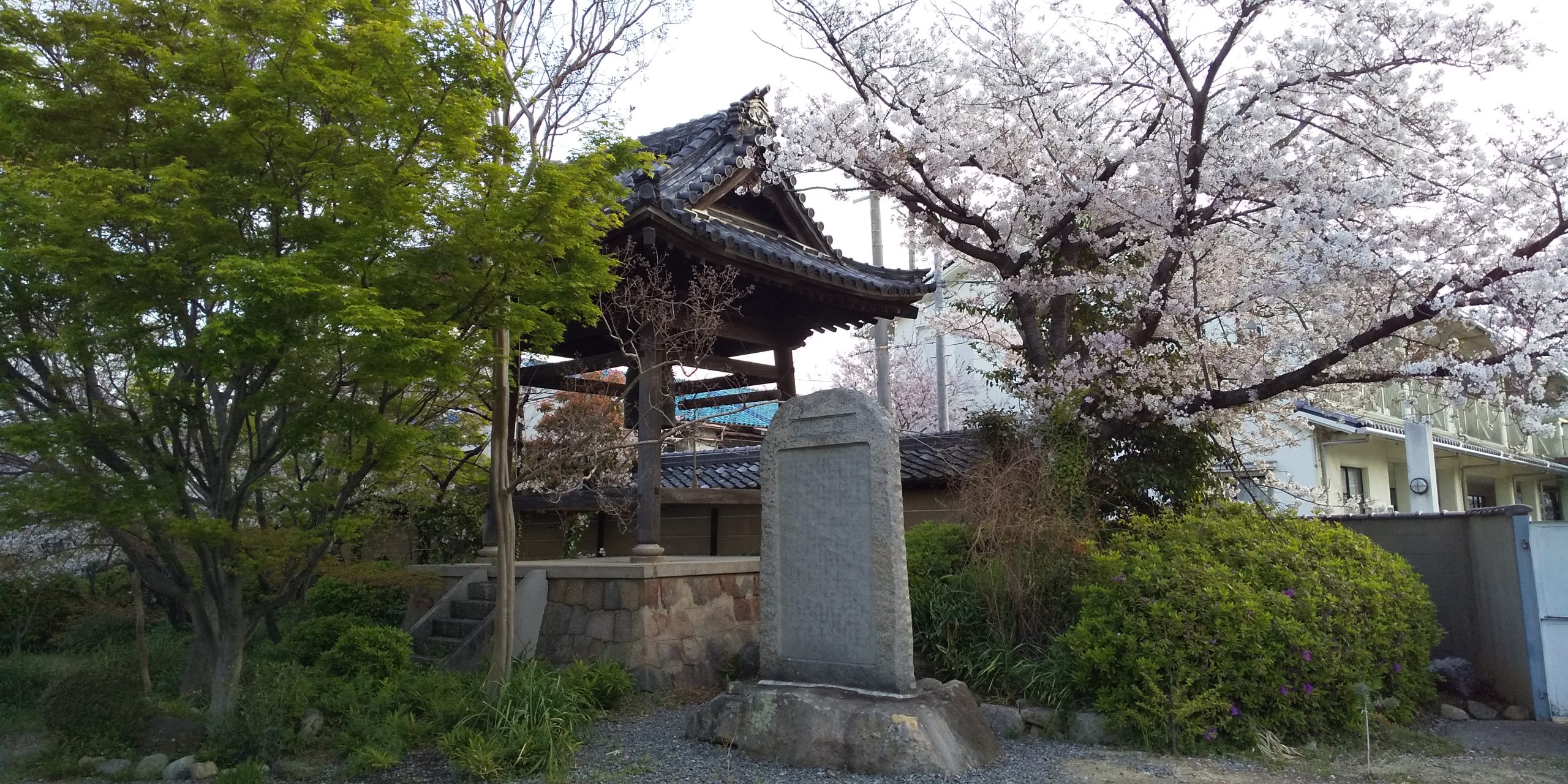 Temple Grounds Regeneration 3