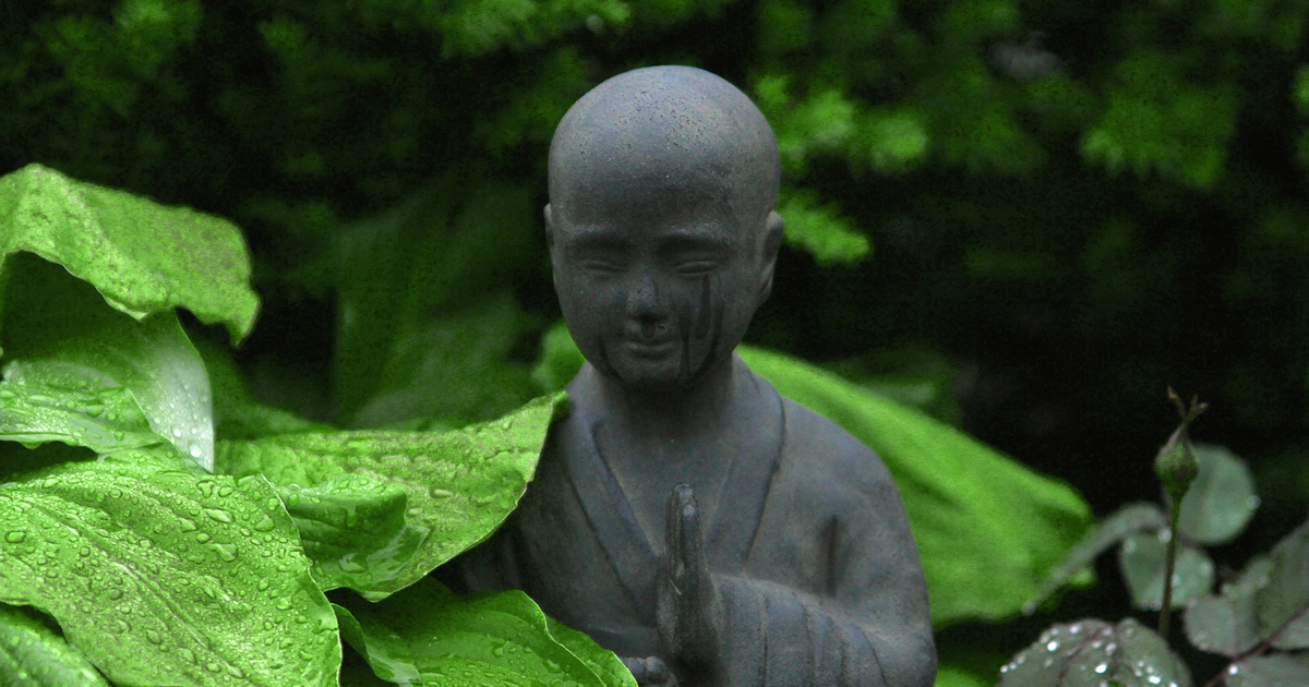 庭 水たまり 原因を場所別に診断する｜梅雨明けの豪雨で消えない水を読み解く