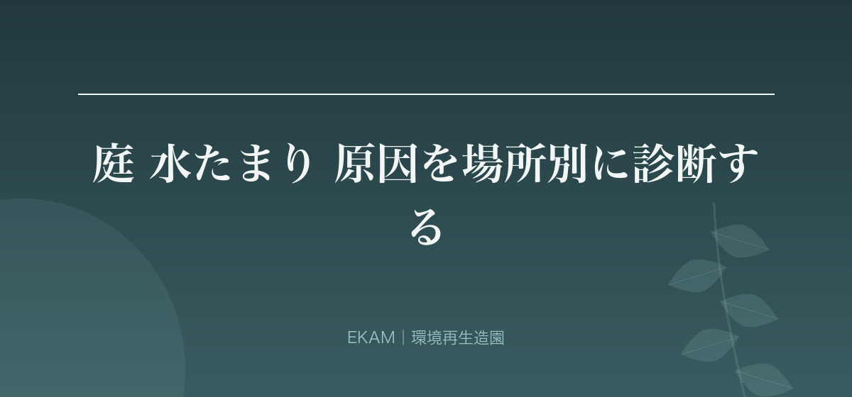 庭 水たまり 原因を場所別に診断する