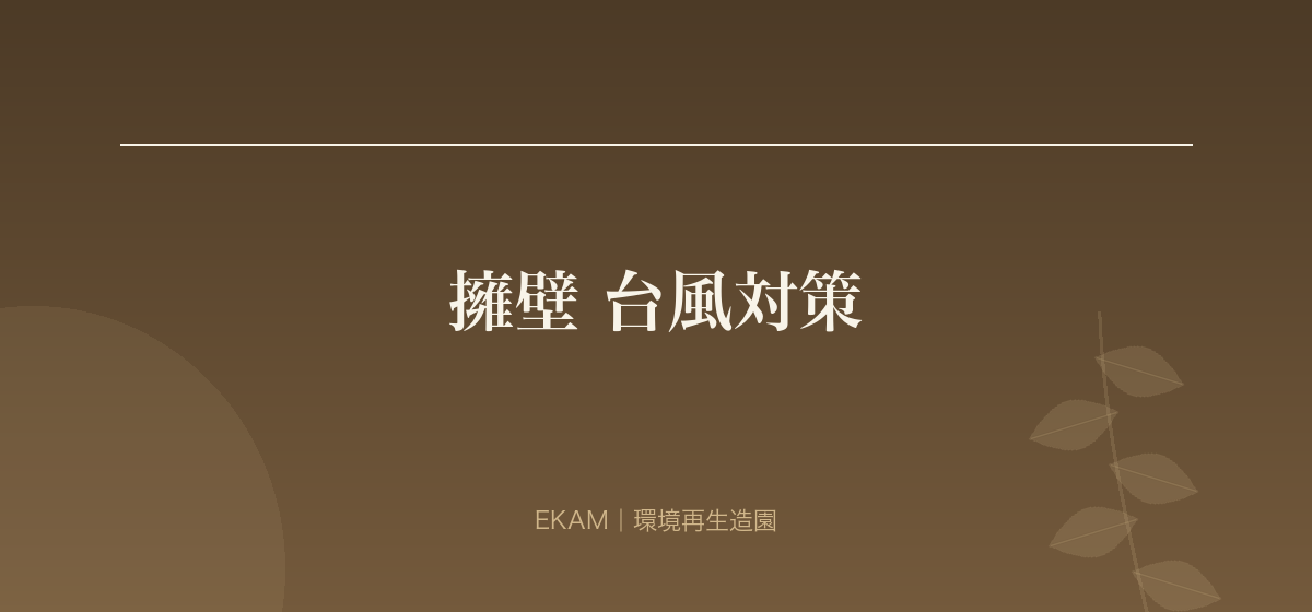 擁壁 台風対策