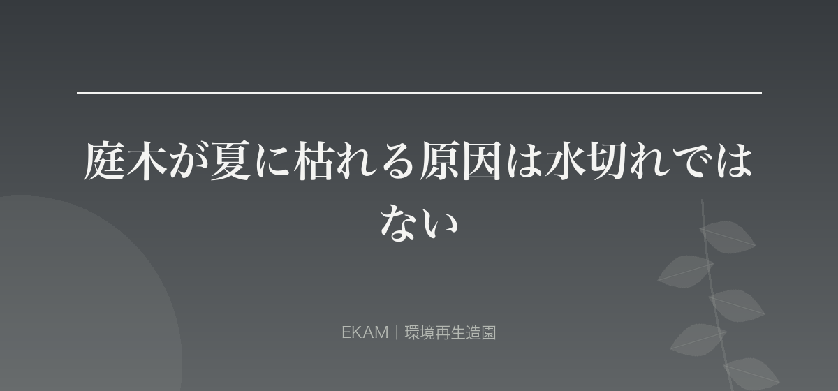 庭木が夏に枯れる原因は水切れではない