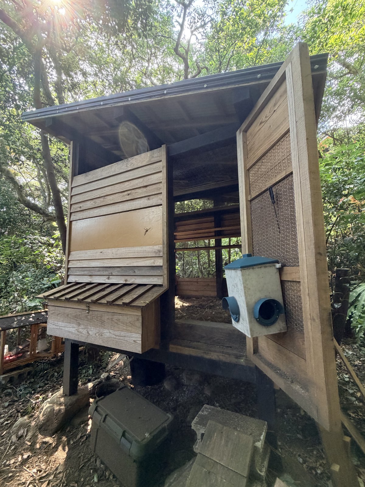 石場建ての鶏小屋 3