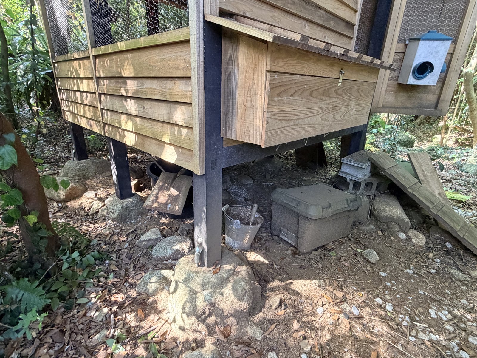 石場建ての鶏小屋 2（礎石の足元）