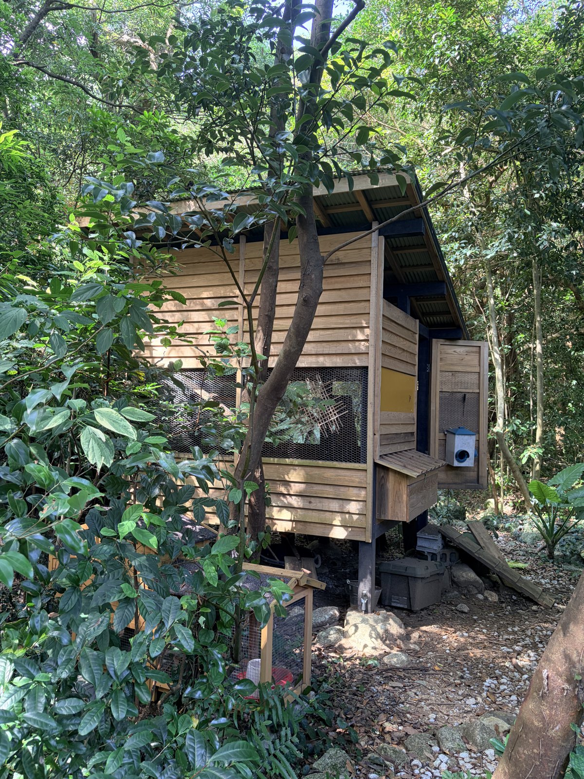 石場建ての鶏小屋 4