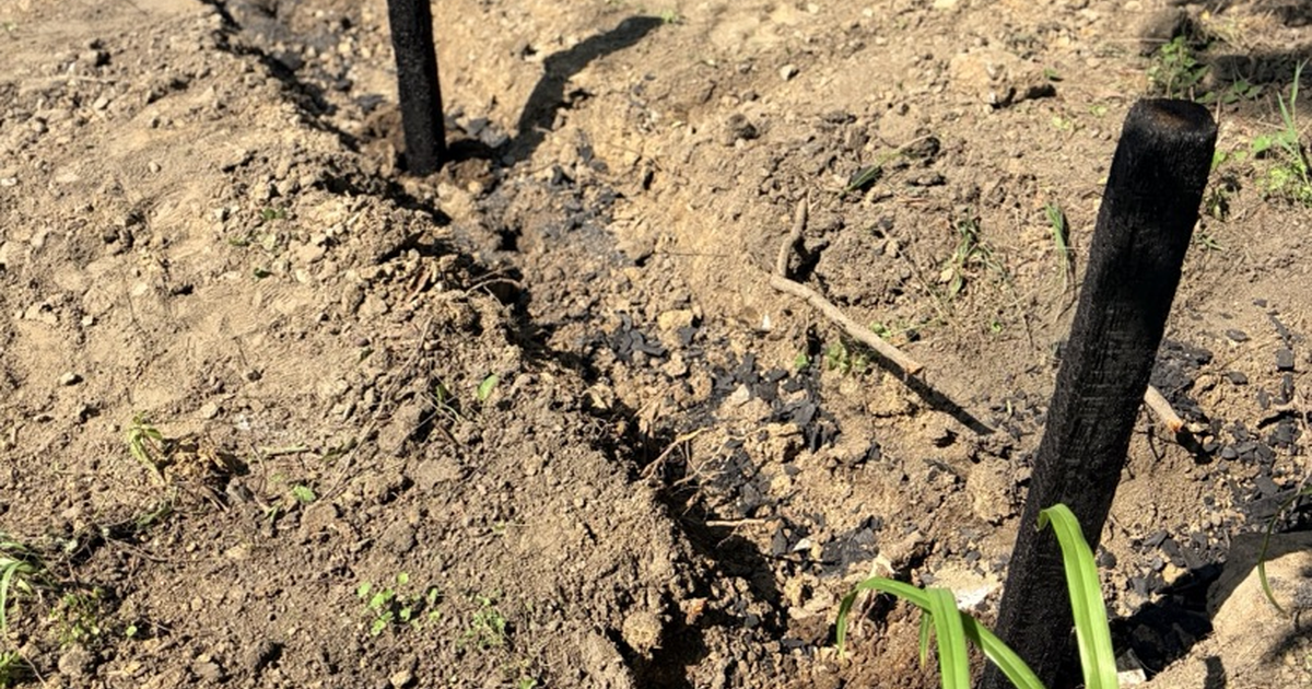 液状化はなぜ起きる？宅地と庭に現れるサインと、水はけとの深い関係