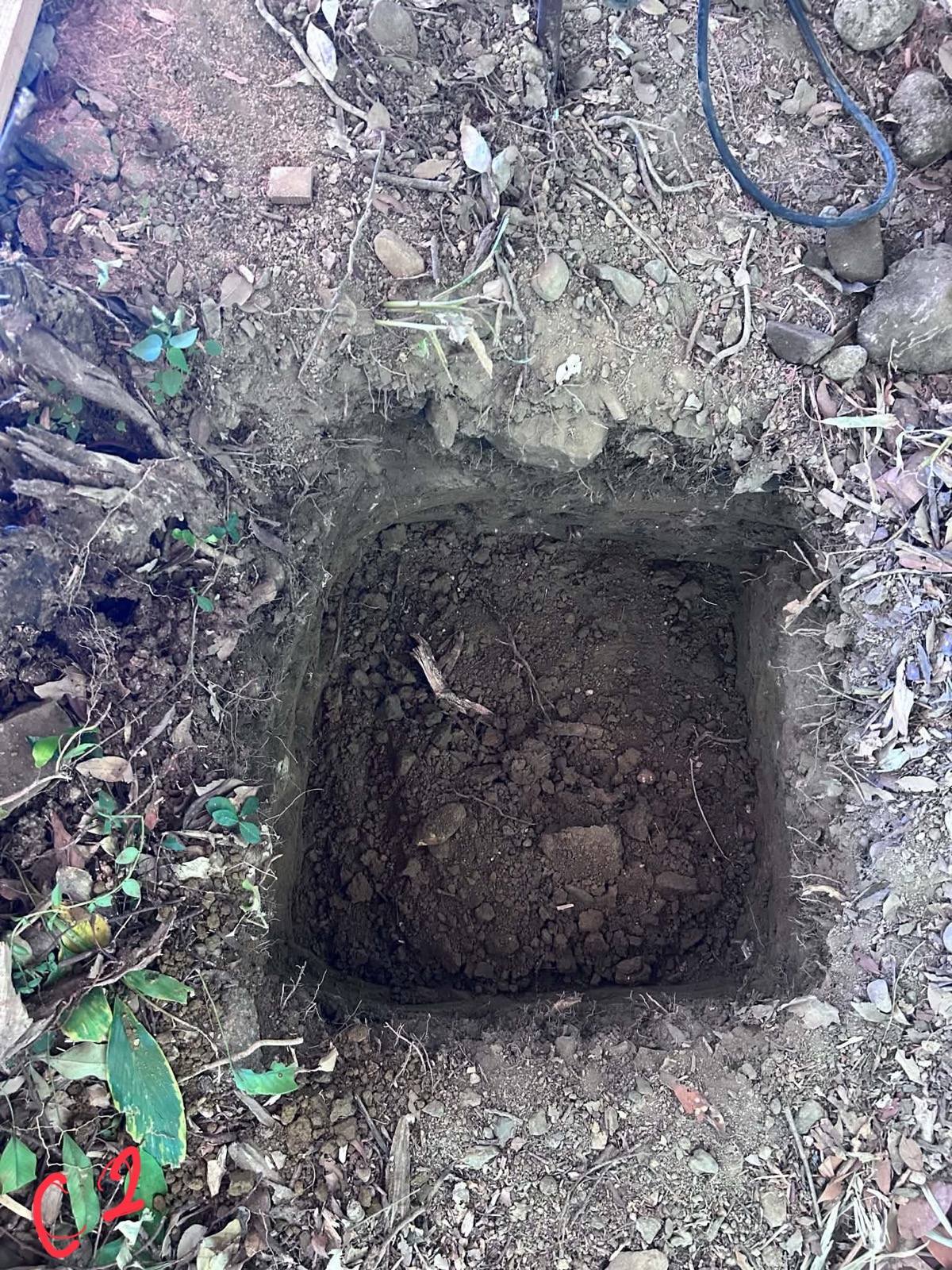 石場建ての根切り穴。表土の下の土質と根の状態を確認しながら掘り進める
