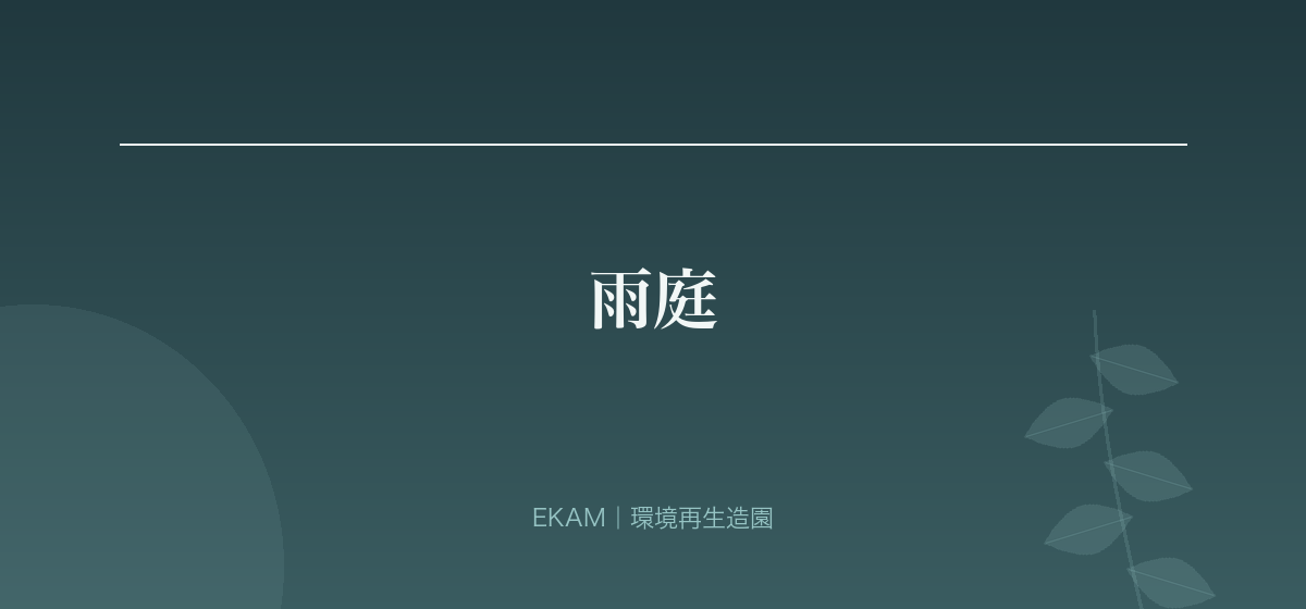 雨庭