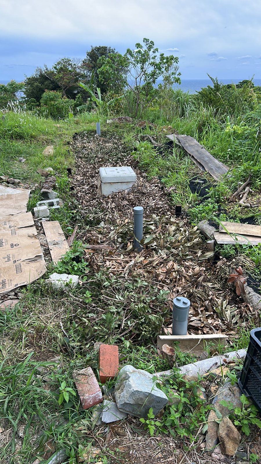 ウッドチップで仕上げた排水浄化システム。完成すると地表からは管とマルチしか見えない